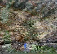 Grampians - Private Tour - Attractions Sydney