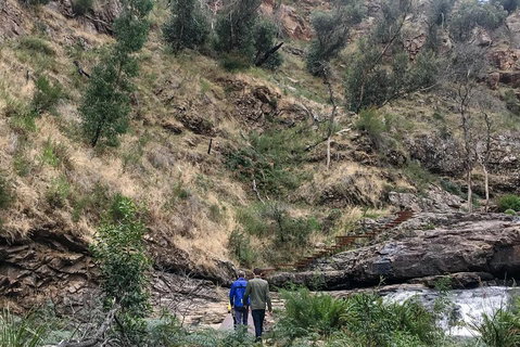 Grampians - Private Tour - Attractions Sydney 0