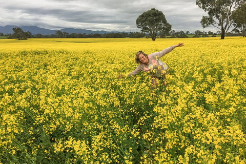 Grampians - Private Tour - Attractions Sydney 3
