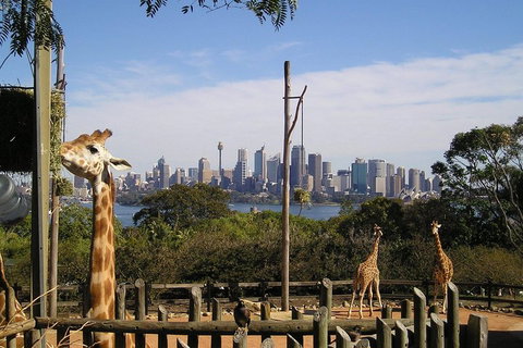 Sydney Taronga Zoo's Australian Animals Tour - Attractions Sydney 4
