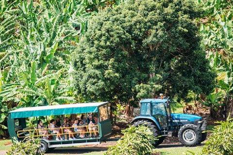 Tropical Fruit World With Wildlife Boat Cruise From Gold Coast - Attractions Sydney 1
