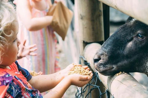Tropical Fruit World With Wildlife Boat Cruise From Gold Coast - Attractions Sydney 5