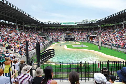 Croc Express To Australia Zoo From Gold Coast - Attractions Sydney 2