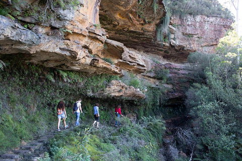 Blue Mountains Nature And Wildlife Day Tour From Sydney - Attractions Sydney 2