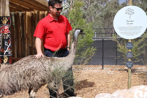 Blue Mountains Nature And Wildlife Day Tour From Sydney - Attractions Sydney 5