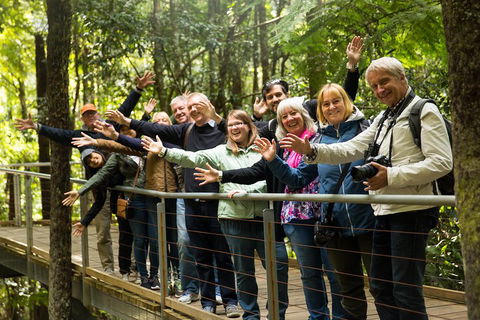 All Inclusive Blue Mountains Small-Group Day Trip From Sydney - Attractions Sydney 5