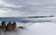Small-Group Blue Mountains Tour With A Local Guide - thumb 1
