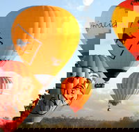 Natural Bridge  Springbrook Waterfalls Tour  Hot Air Balloon with Breakfast - Attractions Sydney