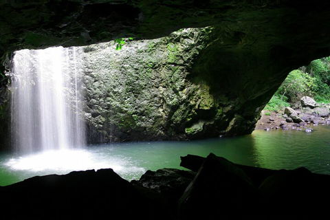 Natural Bridge & Springbrook Waterfalls Tour + Hot Air Balloon With Breakfast - Attractions Sydney 2