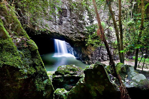 Natural Bridge & Springbrook Waterfalls Tour + Hot Air Balloon With Breakfast - Attractions Sydney 4