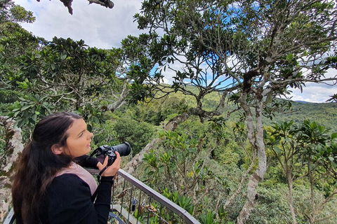 Lamington National Park, O'Reilly's & Vineyard Tour - Attractions Sydney 1