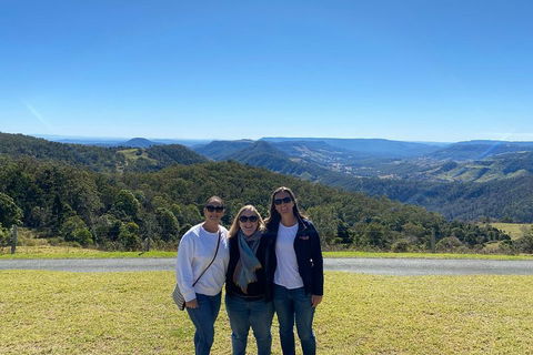 Lamington National Park, O'Reilly's & Vineyard Tour - Attractions Sydney 3