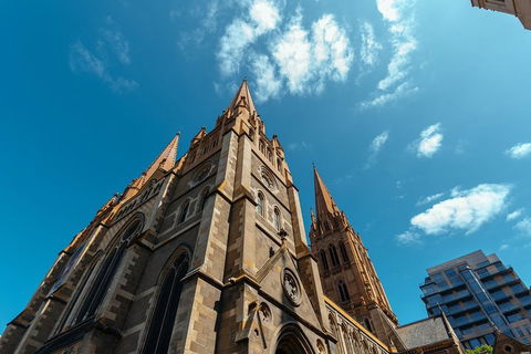 Highlights & Hidden Gems With Locals: Best Of Melbourne Private Tour - Attractions Sydney 4