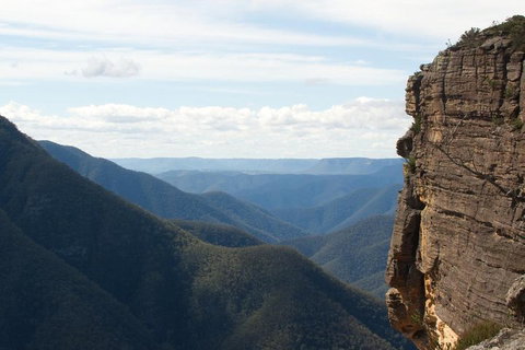 Inside The Greater Blue Mountains World Heritage - A Private Wildlife Safari Overnight - Attractions Sydney 4