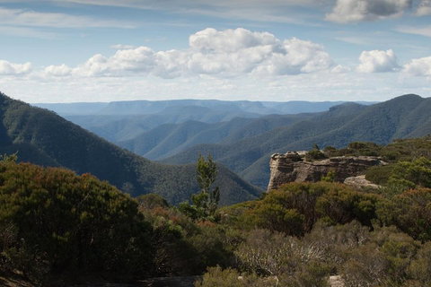 Inside The Greater Blue Mountains World Heritage - A Private Wildlife Safari Overnight - Attractions Sydney 5