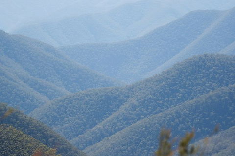 From The Mountains To The Bay - 4 Day Rediscovery Private Tour - Attractions Sydney 1