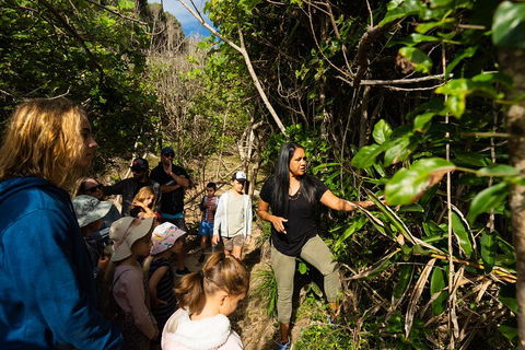 Cape Byron Aboriginal Tour - Attractions Sydney 4
