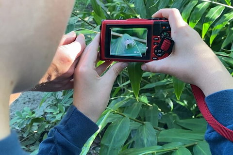 Let's Go Buggin & Let's Go Shroomin - Photography & Nature Walking Tours - Attractions Sydney 2