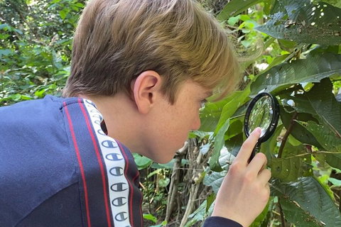 Let's Go Buggin & Let's Go Shroomin - Photography & Nature Walking Tours - Attractions Sydney 3