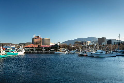 Hobart City Sightseeing Tour Including MONA Admission - Attractions Sydney 0