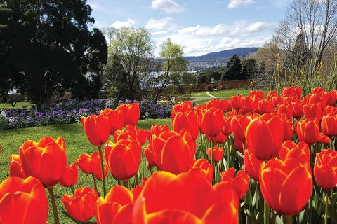 Hobart City Sightseeing Tour Including MONA Admission - Attractions Sydney 4