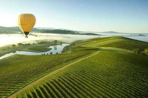 Half-Day Or Full-Day Tour With Private Guide From Melbourne - Attractions Sydney 4