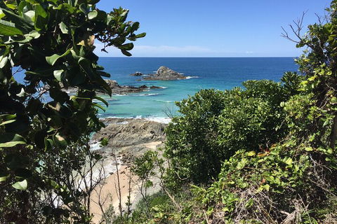 Behind The Bay - Explore Like A Local - Attractions Sydney 1