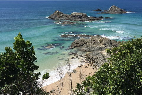 Behind The Bay - Explore Like A Local - Attractions Sydney 3