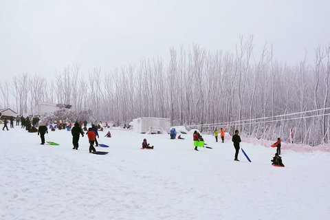 Private Mount Buller Snow And Ski Tour From Melbourne - Attractions Sydney 1