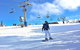 Private Mount Buller Snow And Ski Tour From Melbourne - thumb 3
