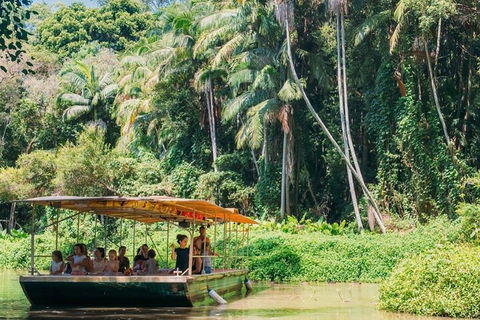 Tropical Fruit World Farm Full Tour - Attractions Sydney 0