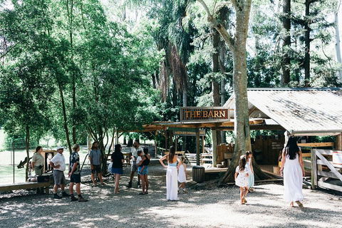 Tropical Fruit World Farm Full Tour - Attractions Sydney 3
