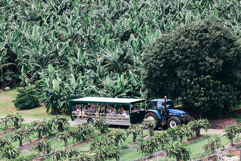 Tropical Fruit World Farm Full Tour - Attractions Sydney 5