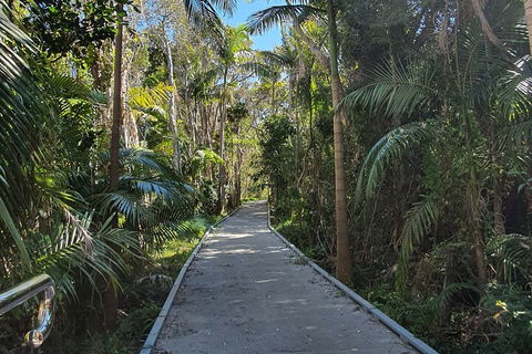 Half Day Guided Small Group Walk - Attractions Sydney 3