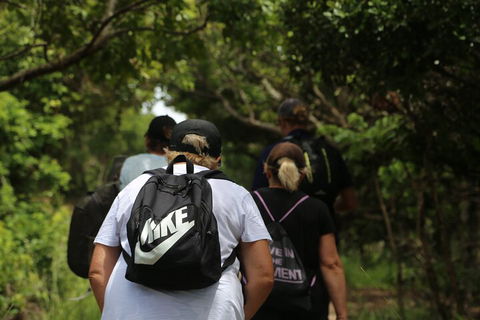 Half Day Guided Small Group Walk - Attractions Sydney 4