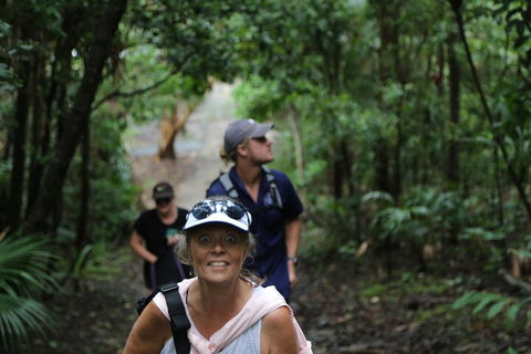 Half Day Guided Small Group Walk - Attractions Sydney 5
