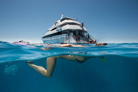 3 Day Great Barrier Reef, Daintree Rainforest And Outback Chillagoe Tour - Attractions Sydney 0