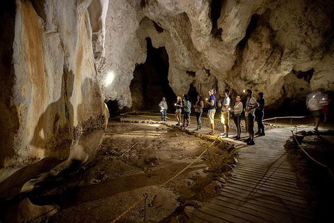 3 Day Great Barrier Reef, Daintree Rainforest And Outback Chillagoe Tour - Attractions Sydney 1