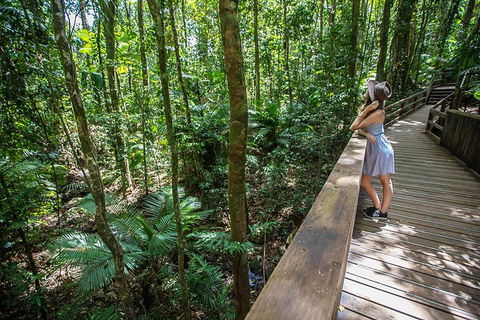3 Day Great Barrier Reef, Daintree Rainforest And Outback Chillagoe Tour - Attractions Sydney 3