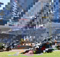 Personalised Half Day With A Local In Melbourne - Attractions Sydney