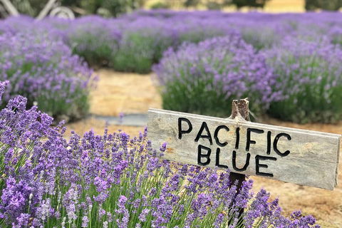 Kangaroo Island Food And Wine Trail Tour - Attractions Sydney 0