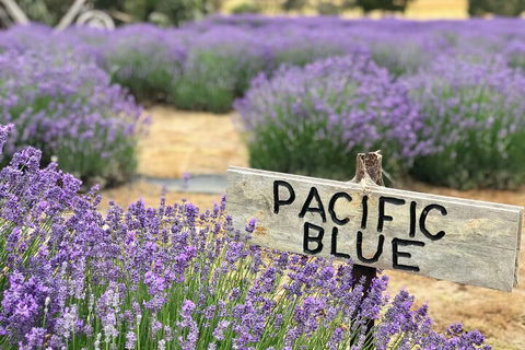 Kangaroo Island Half Day Food And Wine Trail Tour - Attractions Sydney 5