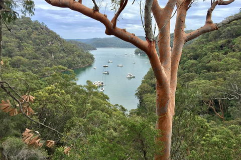 Shore Excursion: Sydney's Northern Beaches & Ku-ring-gai National Park Bus Tour - Attractions Sydney 1