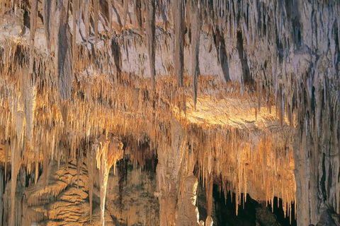 Margaret River, Caves, Wine And Cape Leeuwin Lighthouse Tour From Perth - Attractions Sydney 3