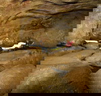 2-Day Wave Rock York Wildflowers  Aboriginal Experience - Attractions Sydney