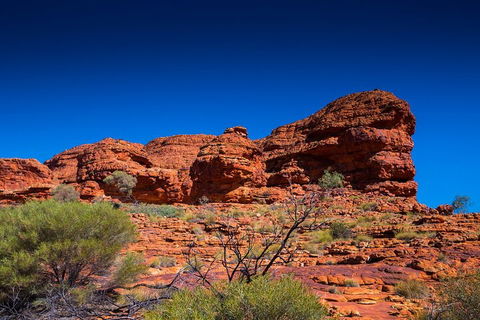 7-Day Guided Tour Of Alice Springs With Accommodation Included - Attractions Sydney 4