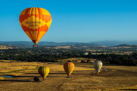 Yarra Valley Balloon Flight And Winery Tour - Attractions Sydney 0
