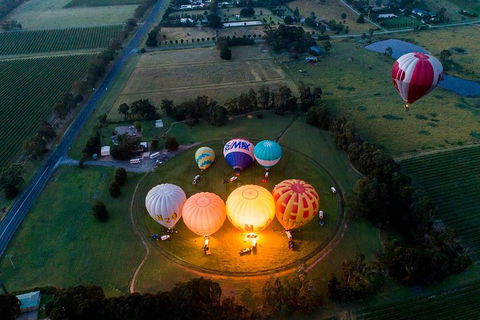 Yarra Valley Balloon Flight And Winery Tour - Attractions Sydney 3