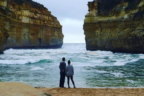Great Ocean Road Small-Group Ecotour From Melbourne - Attractions Sydney 1