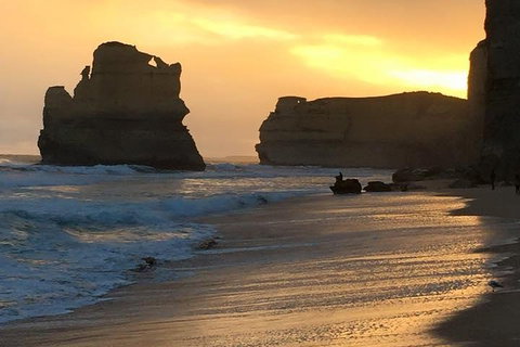 Great Ocean Road Small-Group Ecotour From Melbourne - Attractions Sydney 5